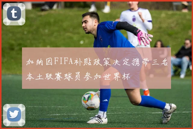加纳因FIFA补贴政策决定携带三名本土联赛球员参加世界杯