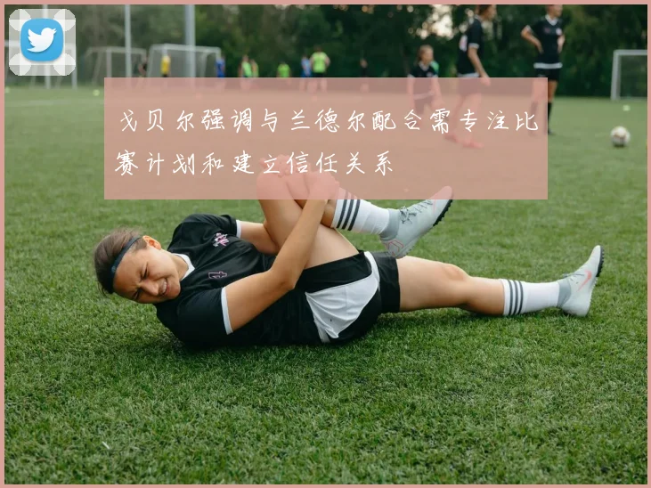 戈贝尔强调与兰德尔配合需专注比赛计划和建立信任关系